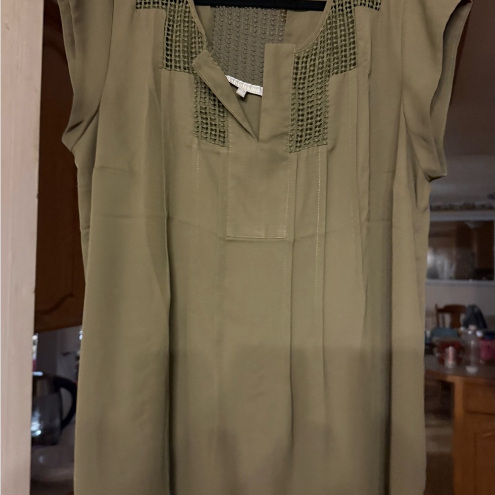 Daniel Rainn Sage Green Textured Blouse